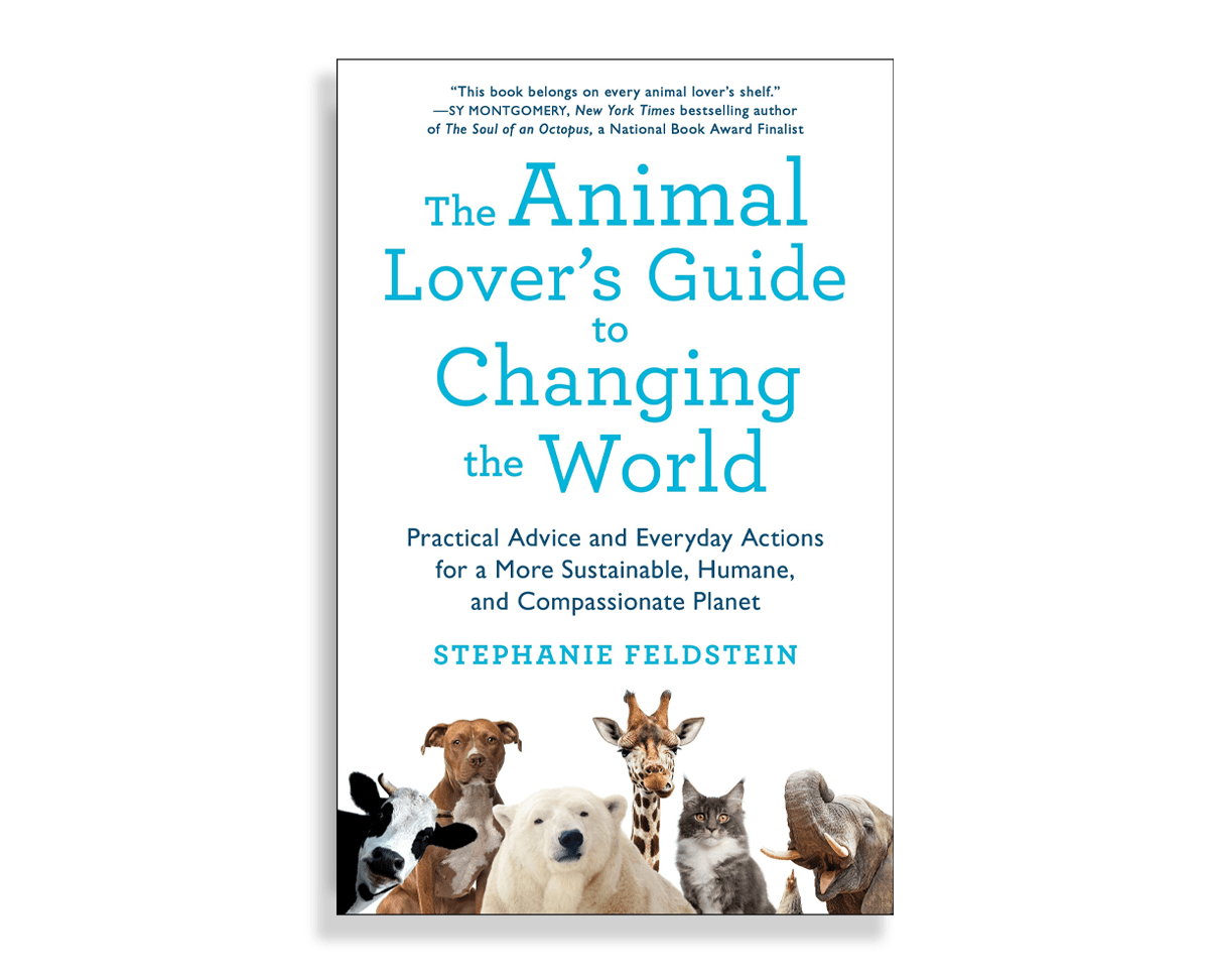 Animal Lover’s Guide to Changing the World